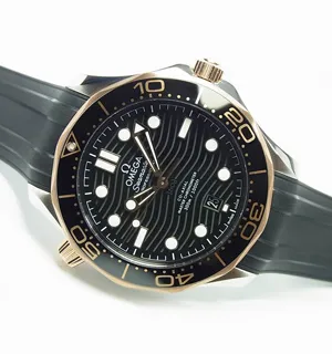 オメガ シーマスター ダイバー300M コーアクシャル マスタークロノメーター 42MM スーパーコピー （210.22.42.20.01.002）