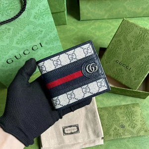 GUCCI スーパーコピー / グッチ オフィディア GG ウォレット ブルー（597606 96IWN 4076）