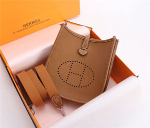 Hermes/エルメス スーパーコピー エヴリン?アマゾーヌ16 TPM ブラウンxシルバー（H069426CKCI）