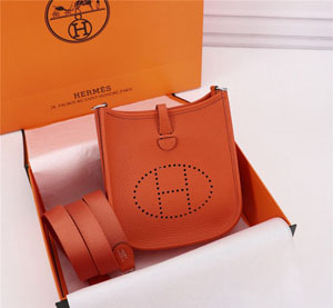 Hermes/エルメス スーパーコピー エヴリン?アマゾーヌ16 TPM オレンジxシルバー（H069426）