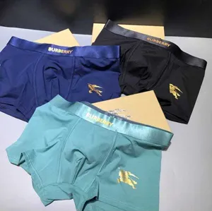 Burberry Gold Logo Boxer Pants バーバリィー ゴールド ロゴ ボクサー パンツ 3色（Burberry 67）