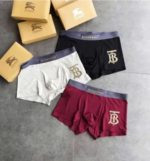 Burberry TB Logo Boxer Pants バーバリィー TB ロゴ ボクサー パンツ 3色（Burberry 66）