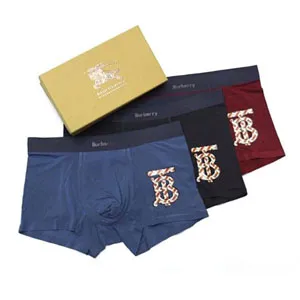 Burberry TB Logo Boxer Pants バーバリィー TB ロゴ ボクサー パンツ 3色（Burberry 64）