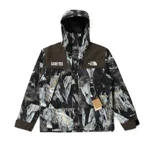 The North Face Gore-Tex Graphic Mountain Jacket ノースフェイス ゴアテックス グラフィック マウンテンジャケット ブラック（The North Face 12）
