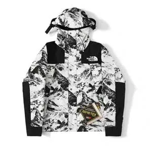 The North Face Novelty Eco Gtx Mountain Jacket ザ ノース フェイス ノベルティ エコ GTX マウンテン ジャケット（The North Face 38）