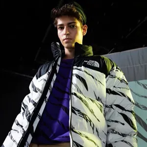 The North Face 20FW Nuptse Zebra Pattern Clacic 1996 Edition ノースフェイス ゼブラパターン ヌプシ ダウンジャケット 2色（The North Face 64）