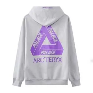 ARC’TERYX x PALACE Logo Hoodie Grey アークテリクス x パレス ロゴパーカー グレー（Palace 30）