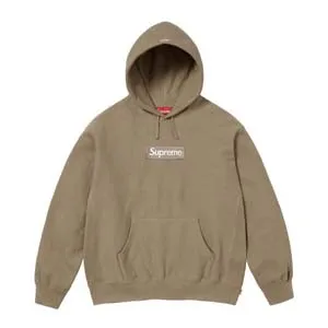 Supreme 23FW Box Logo Sweat Parker シュプリーム 23FW ボックス ロゴ スウェット パーカー ブラウン（Supreme 178）