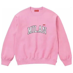 Supreme 24SS Shop Small Box Logo Crewneck Sweat Pink シュプリーム 24SS ショップ スモールボックスロゴ クルーネック スウェット ピンク（Supreme 45）
