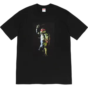 Supreme 21ss Raphael Tee Black シュプリーム 21ss ラファエル Tシャツ ブラック（Supreme 354）