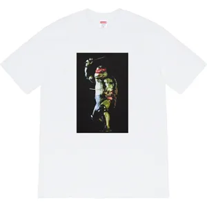 Supreme 21ss Raphael Tee White シュプリーム 21ss ラファエル Tシャツ ホワイト（Supreme 353）
