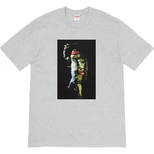 Supreme 21ss Raphael Tee Grey シュプリーム 21ss ラファエル Tシャツ グレー（Supreme 351）
