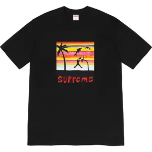 Supreme 21ss Dunk tee Black シュプリーム 21ss プリントTシャツ ブラック（Supreme 324）