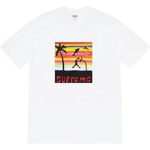 Supreme 21ss Dunk tee White シュプリーム 21ss プリントTシャツ ホワイト（Supreme 323）