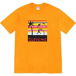 Supreme 21ss Dunk tee Orange シュプリーム 21ss プリントTシャツ オレンジ（Supreme 321）