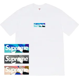 Supreme 21ss Emilio Pucci Box Logo Tee White シュプリーム 21ss エミリオ プッチ ボックスロゴ ボディ/ホワイト（Supreme 308）