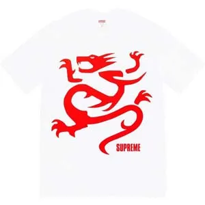 Supreme Mobb Deep Dragon T-shirt シュプリーム モブ ディープドラゴン Tシャツ ホワイト（Supreme 225）