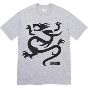 Supreme Mobb Deep Dragon T-shirt シュプリーム モブ ディープドラゴン Tシャツ グレー（Supreme 224?）