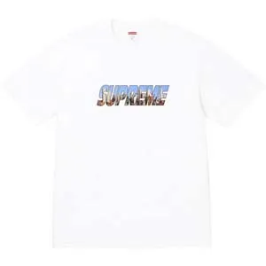Supreme 23FW Gotham Tee シュプリーム 23FW ゴッサム Tシャツ ホワイト（Supreme 210）