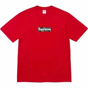 Supreme 23FW Camouflage Box Logo T-shirt シュプリーム 23FW カモフラージュ ボックス ロゴ Tシャツ レッド（Supreme 170）