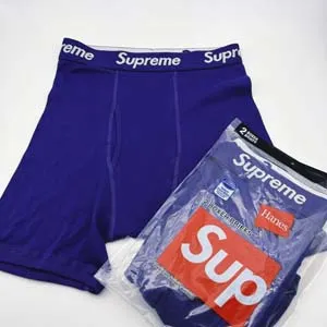 Supreme Hanes Boxer Briefs シュプリーム ヘインズ ボクサー ブリーフ ネイビー（Supreme 185）