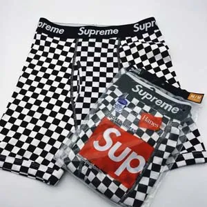 Supreme Hanes Boxer Briefs Check シュプリーム ヘインズ ボクサー ブリーフ チェック（Supreme 186）