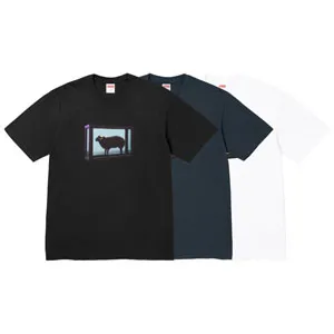 Supreme Damien Hirst Tee シュプリーム ダミアン?ハースト Tシャツ 3色（Supreme 4）