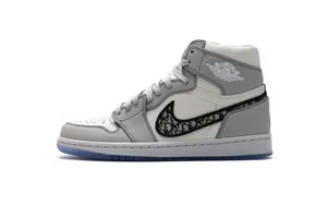 Dior x Nike Air Jordan 1 High OG 