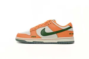 Florida A&M × Nike Dunk Low 