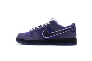Concepts × Nike SB Dunk Low 