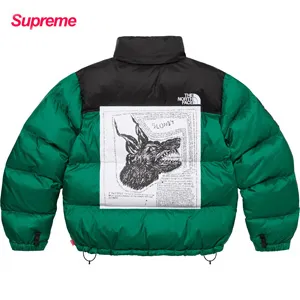 シュプリーム x ザノースフェイス レイモンドペティボン ヌプシ ジャケット グリーン（Supreme0024）
