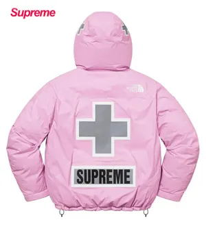シュプリーム x ザノースフェイス サミットシリーズ レスキュー バルトロジャケット ライトパープル（Supreme0009）